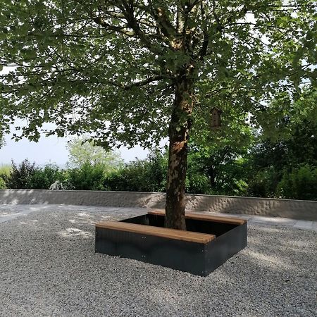 Ferienwohnung Schuhmann Mit Wintergarten Und Garten Therme Aquapulco Und Ikuna Erlebnispark, Zoo Schmiding 20 Min Mit Auto Entfernt Ab 3 Naechte Buchbar Hinzenbach Екстер'єр фото