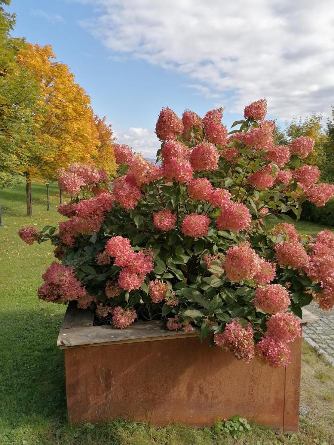 Ferienwohnung Schuhmann Mit Wintergarten Und Garten Therme Aquapulco Und Ikuna Erlebnispark, Zoo Schmiding 20 Min Mit Auto Entfernt Ab 3 Naechte Buchbar Hinzenbach Екстер'єр фото