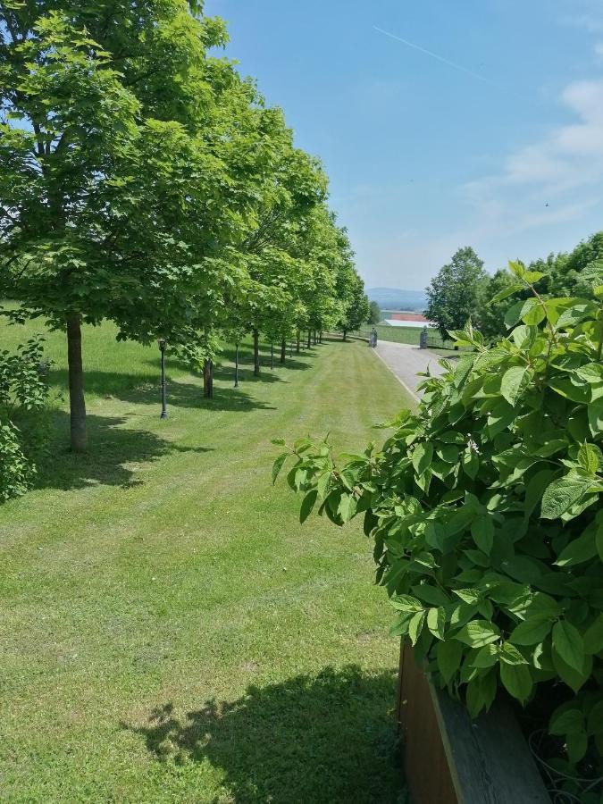 Ferienwohnung Schuhmann Mit Wintergarten Und Garten Therme Aquapulco Und Ikuna Erlebnispark, Zoo Schmiding 20 Min Mit Auto Entfernt Ab 3 Naechte Buchbar Hinzenbach Екстер'єр фото
