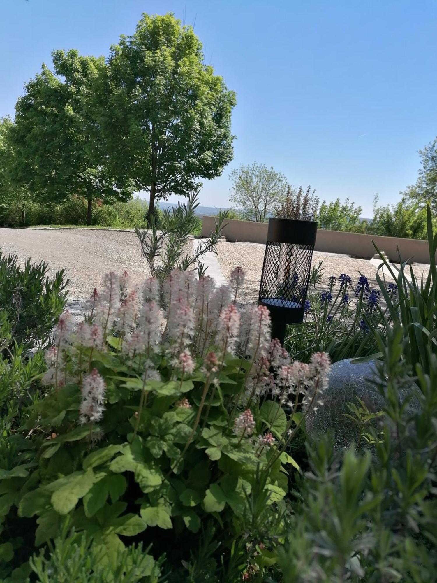 Ferienwohnung Schuhmann Mit Wintergarten Und Garten Therme Aquapulco Und Ikuna Erlebnispark, Zoo Schmiding 20 Min Mit Auto Entfernt Ab 3 Naechte Buchbar Hinzenbach Екстер'єр фото